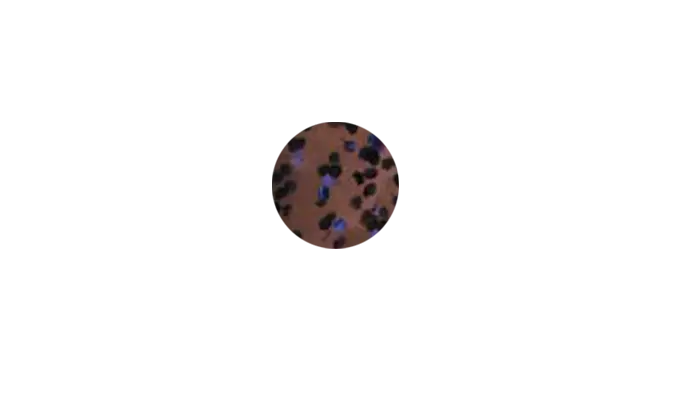 Пластиковый червь GaryYamamoto Senko 4'' (GY-9J-10-221)