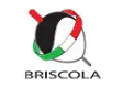 Briscola