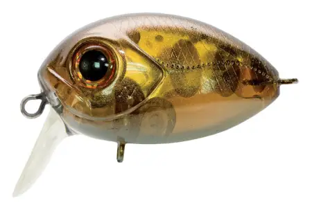 Воблер PONTOON21, Red Rag 36F-SSR, 36мм, 5,7 гр., 0.0-0.05 м.