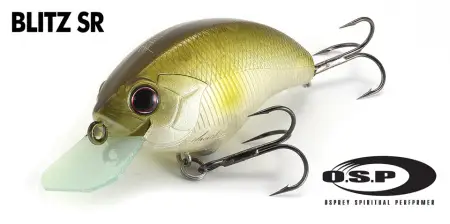 Blitz SR