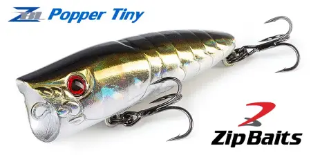 ZBL Popper Tiny