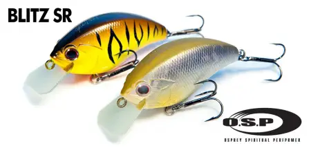 Blitz SR