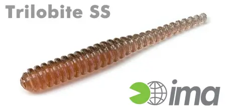 Trilobite