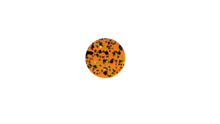 Пластиковый червь GaryYamamoto Swim Senko 4''