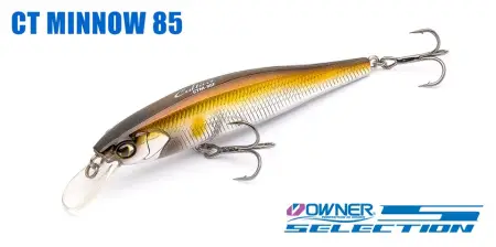 CT Minnow