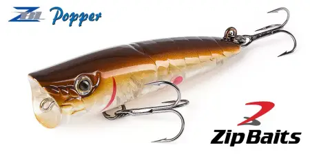 ZBL Popper