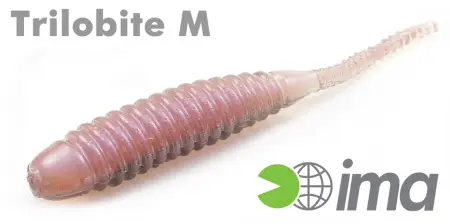 Trilobite