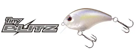 Tiny Blitz