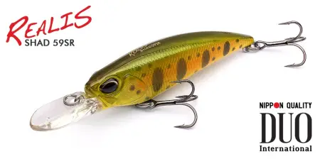 Realis Shad