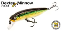 Воблер Pontoon21 Dexter Minnow 93S-SR, 93 мм., 16.4 гр., 1-2.5 м.